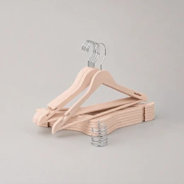 Hanger